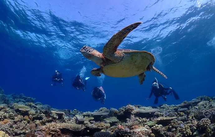 株式会社康生の当社の強み・当社の課題について写真1