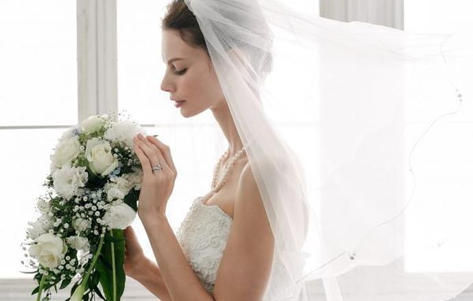 株式会社ジェムケリーグループホールディングスの会社について写真1