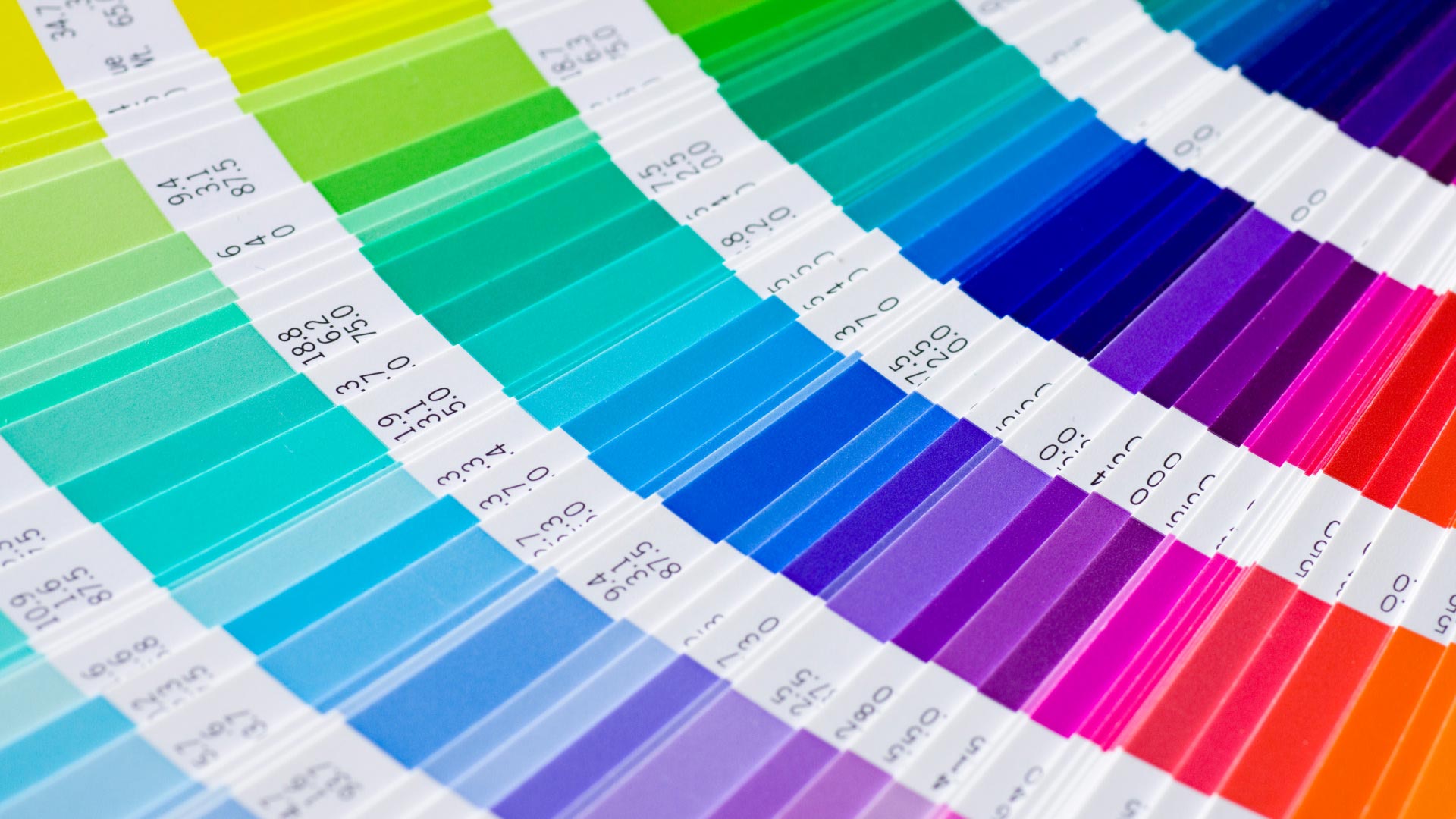 大日本印刷株式会社の写真